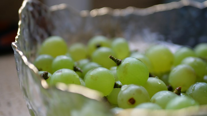 Summer Grapes @Chengdu
