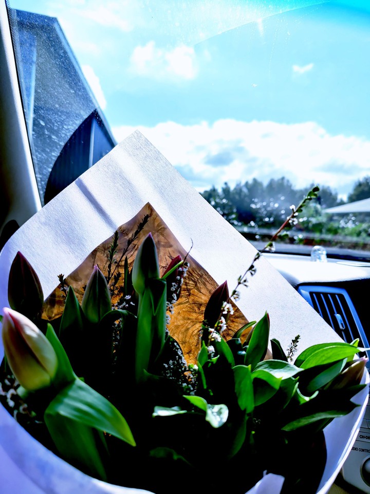 Flowers don't tell, they show ??