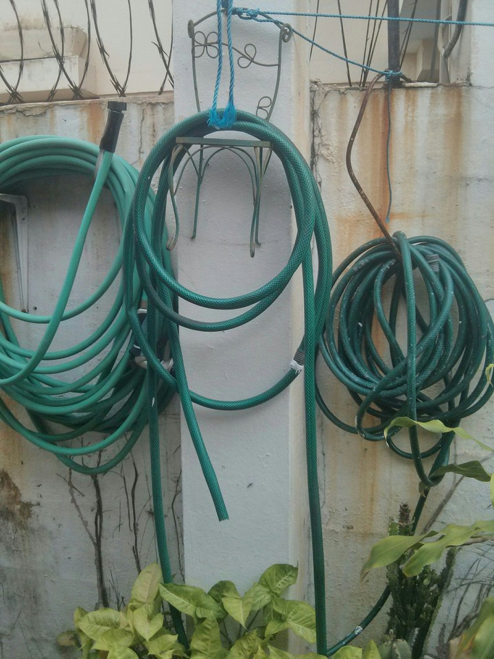 Los jardines colgantes