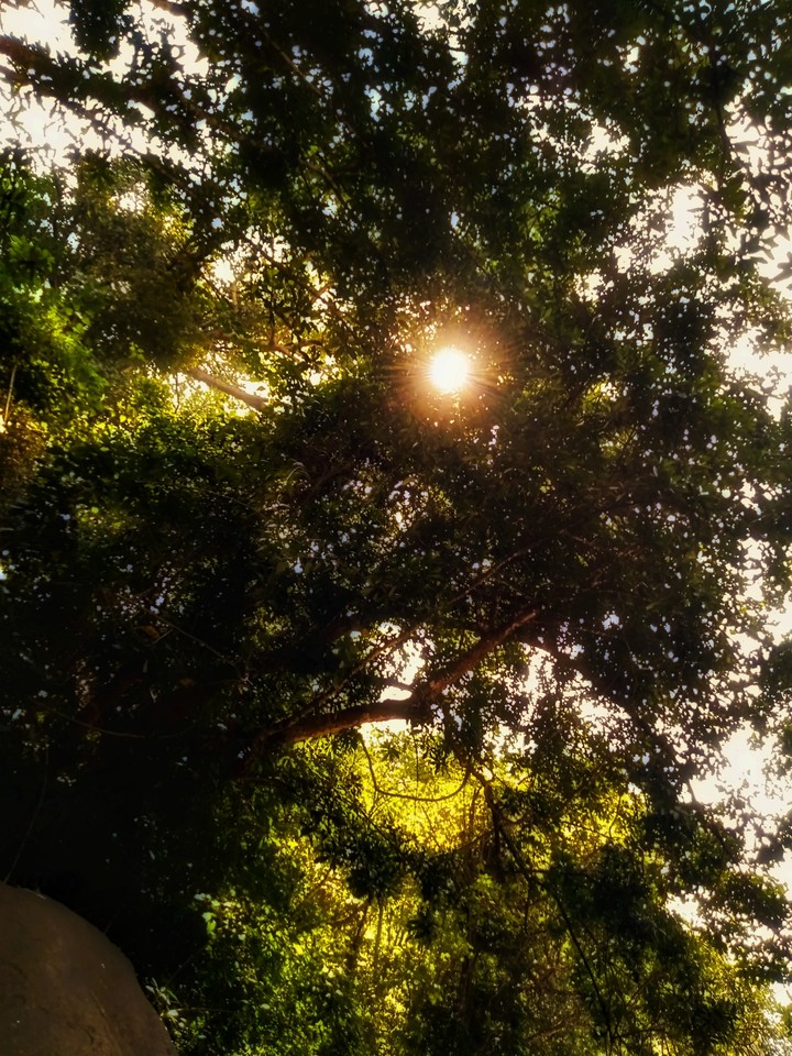 when sun kisses you
