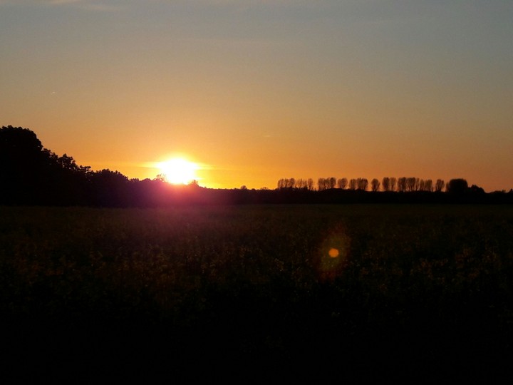 sunrise