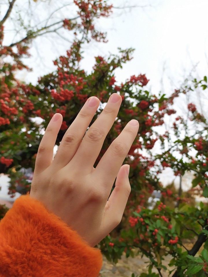 orange