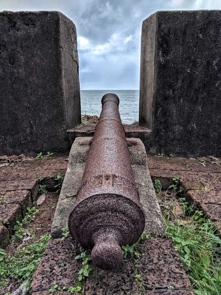 Vintage Cannon