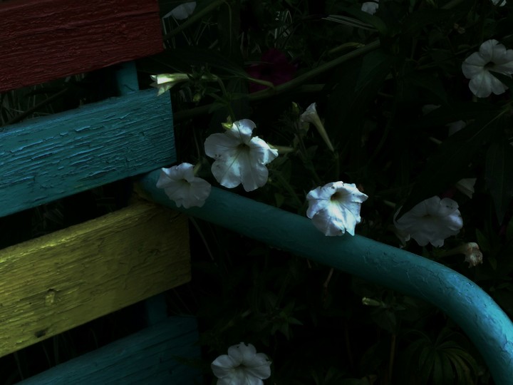 bench
