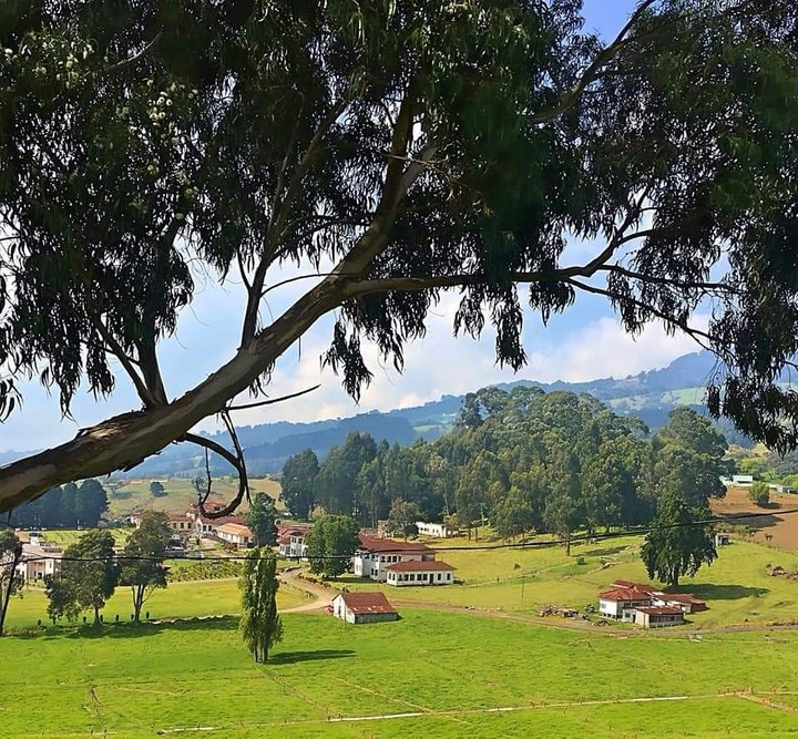 sanatorio Durán ❤️