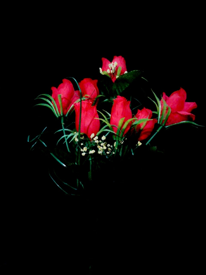 Roses