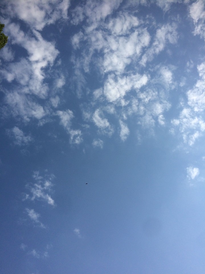 the sky