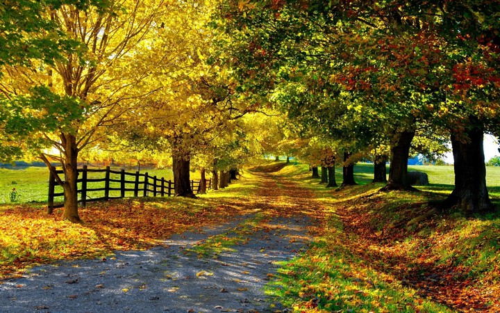 Beautiful Autumn Day
