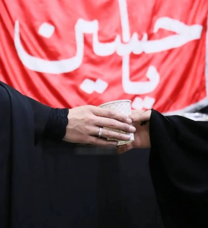 اسلام علیک یا سید العطشان