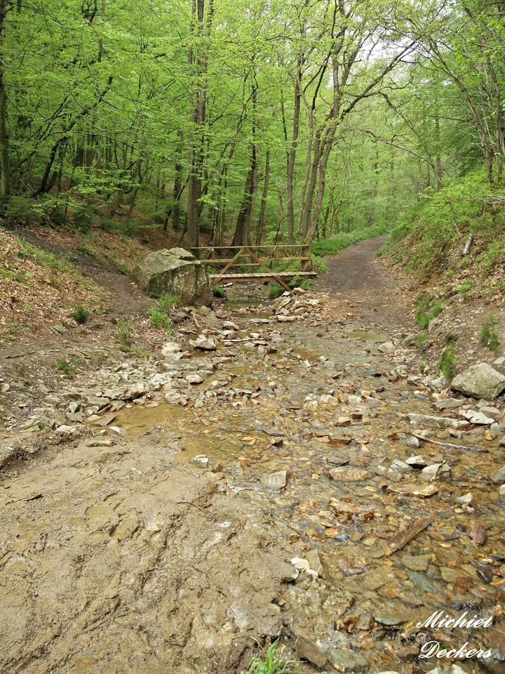 Ardennes in Belgium