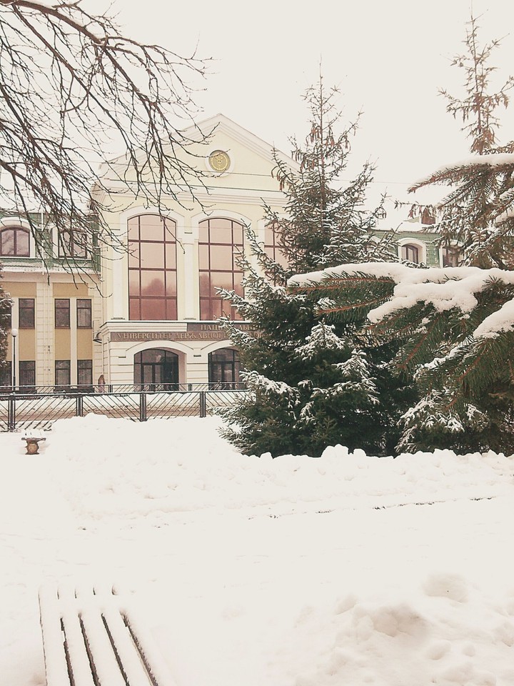 The university