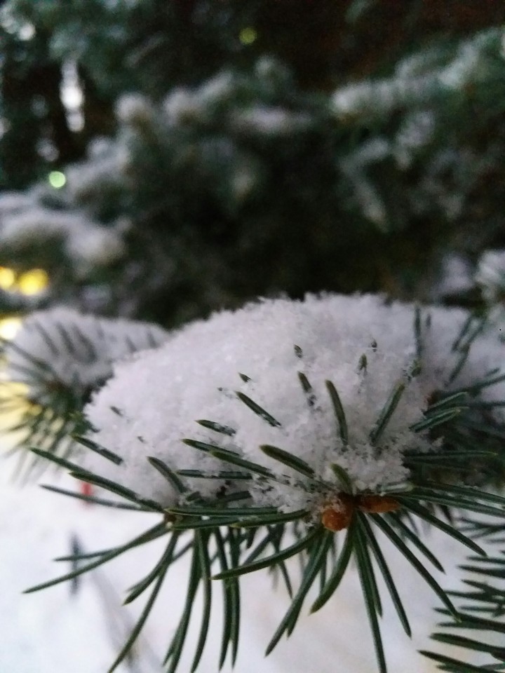 Снег