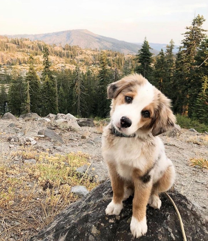 #cute