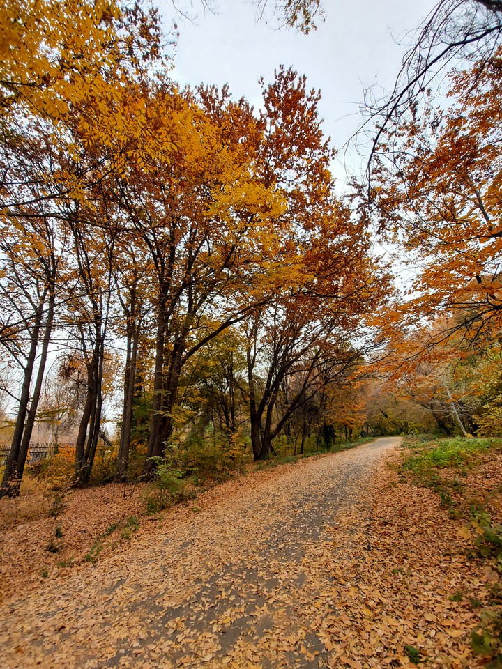 Beautiful autumn