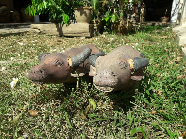Two Bufferlo