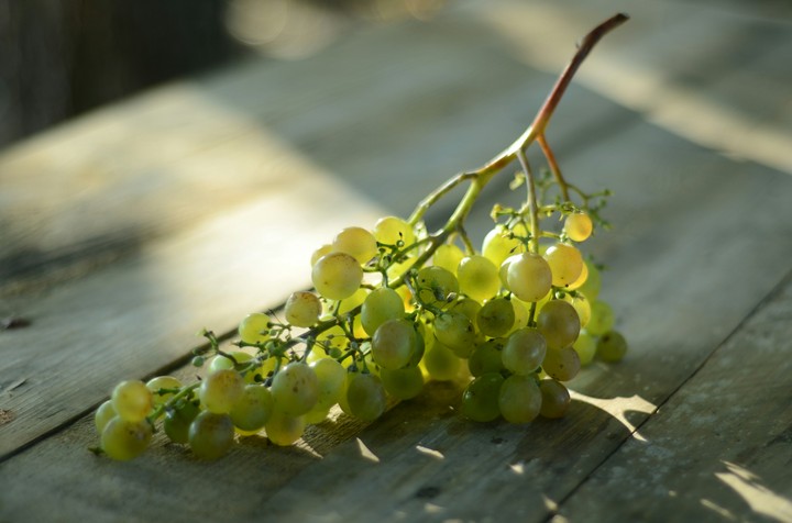 grapes