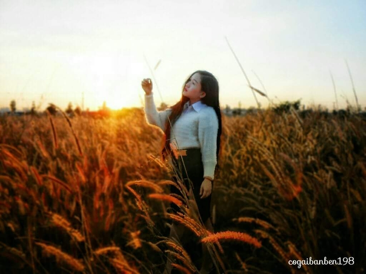 Đi theo anh ánh mặt trời.