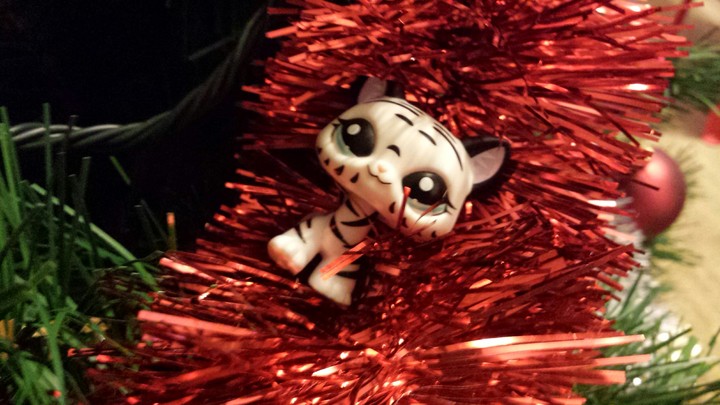 my favorite lps