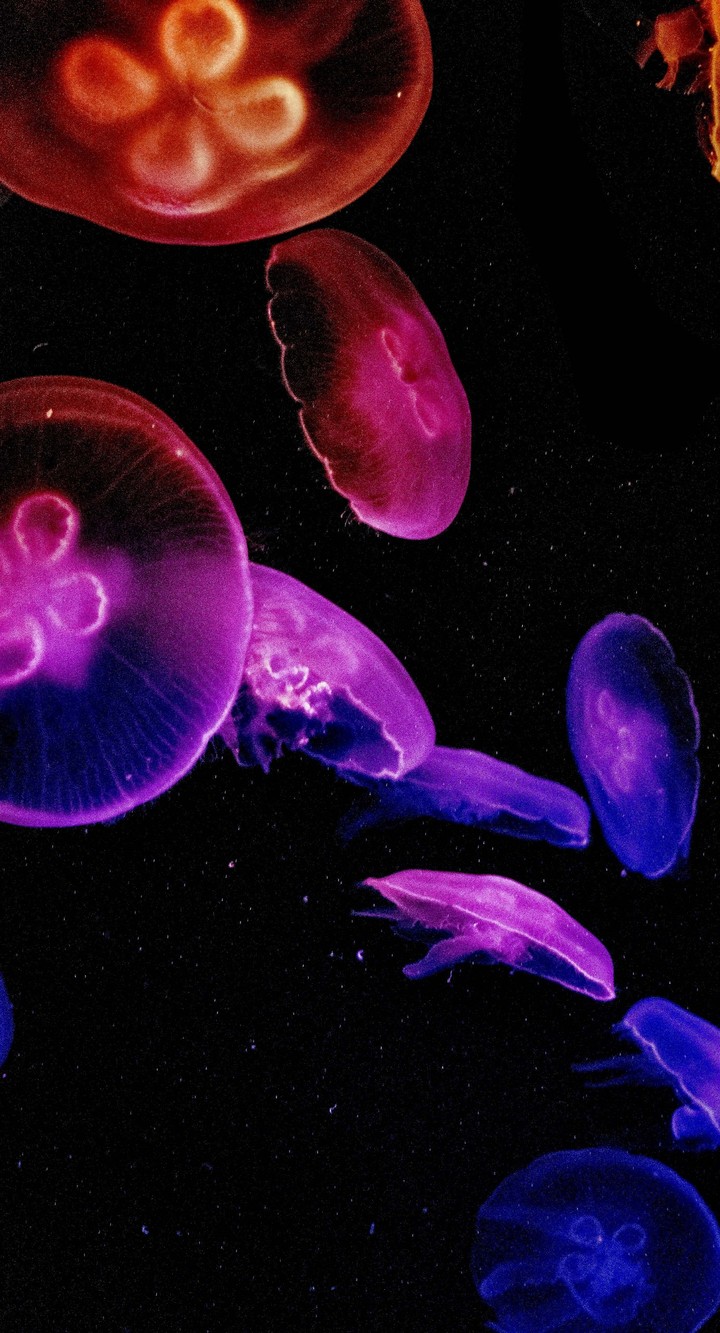 hình nền Science, bioluminescence
