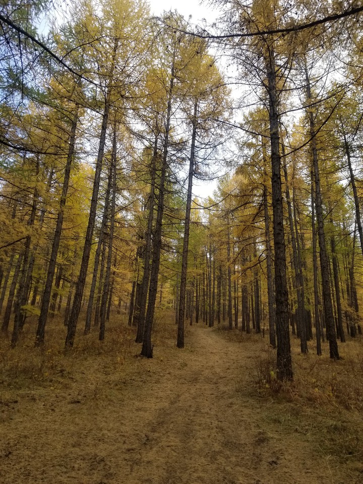 beautiful autumn