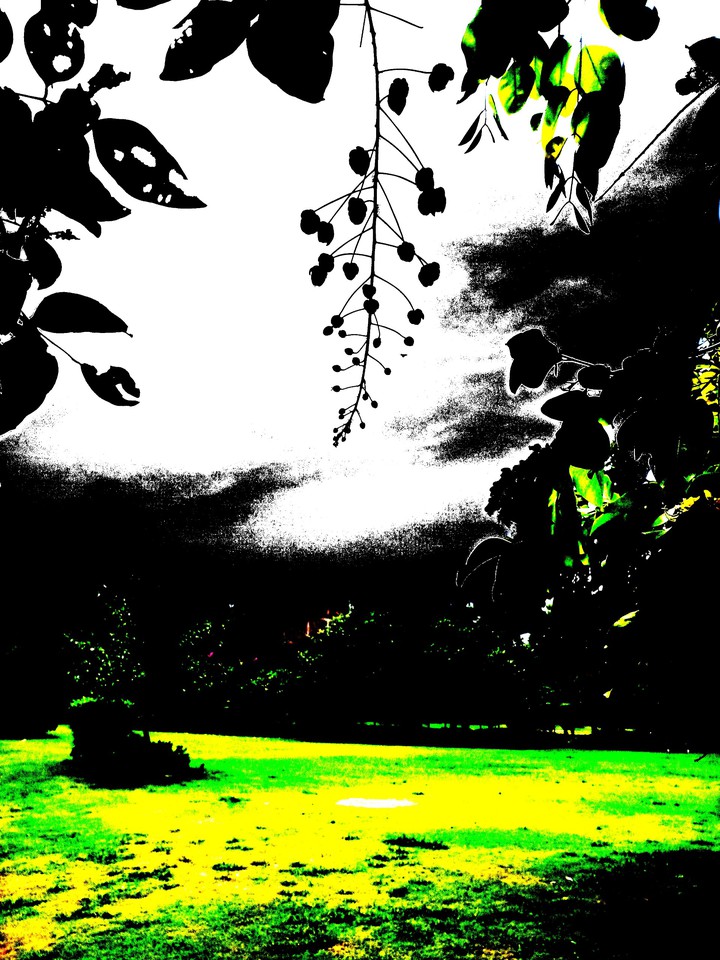 Shades of Dark
