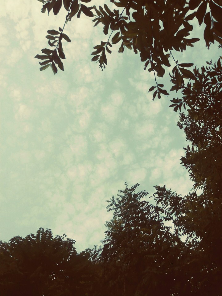 cloudy