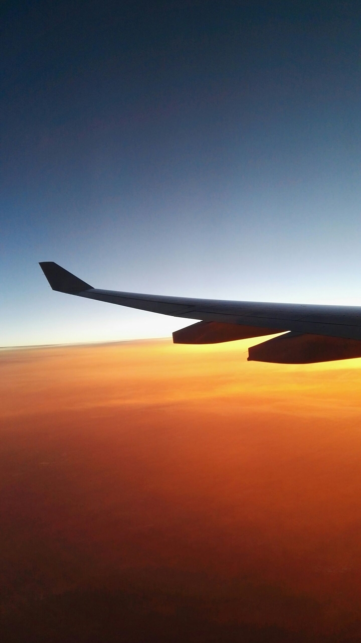 wonderful flight