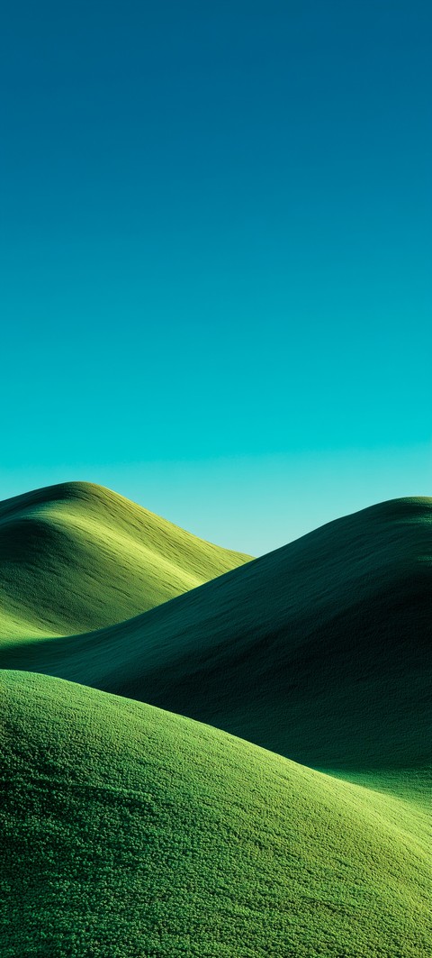 green, steppe achtergronden