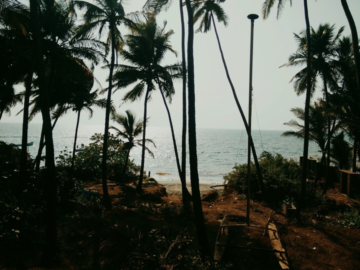 Anjuna Beach