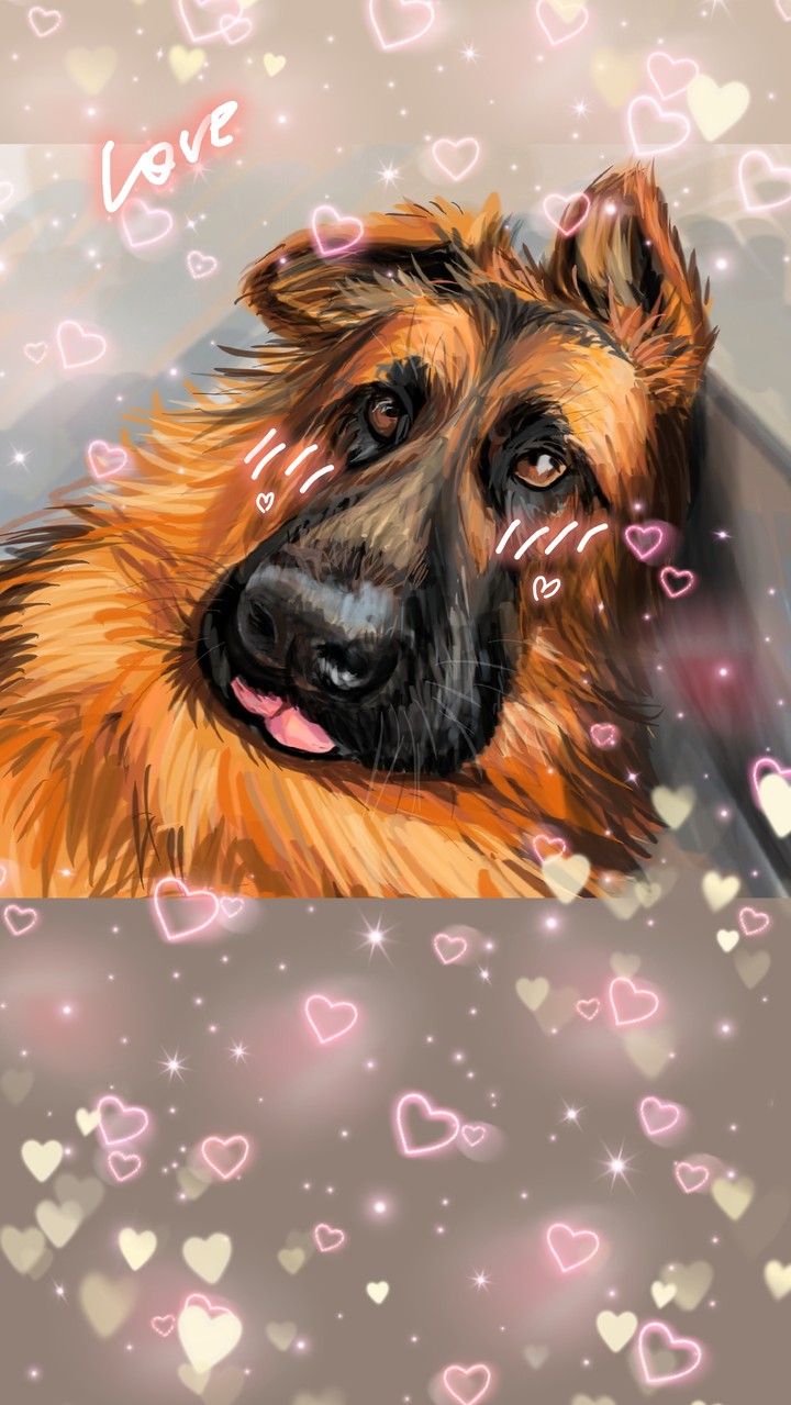 lovely dog