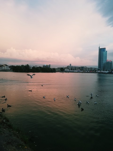 sunset