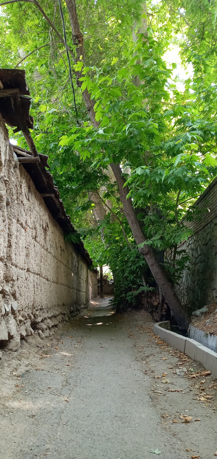 tehran