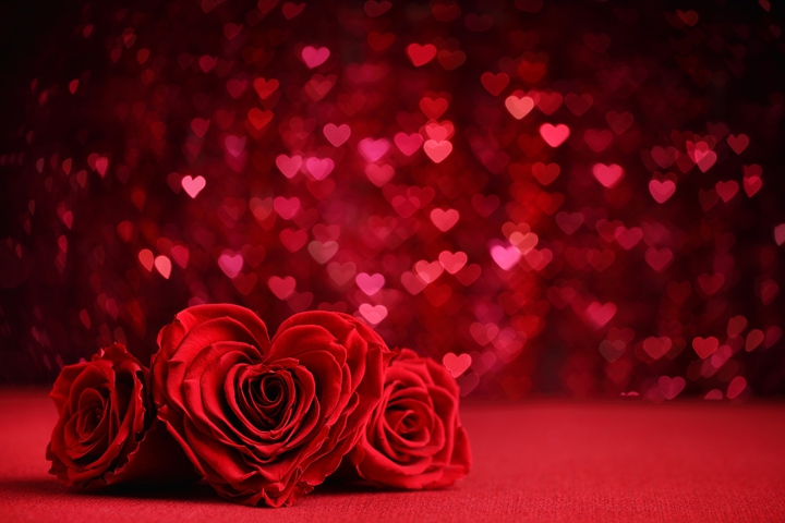 love