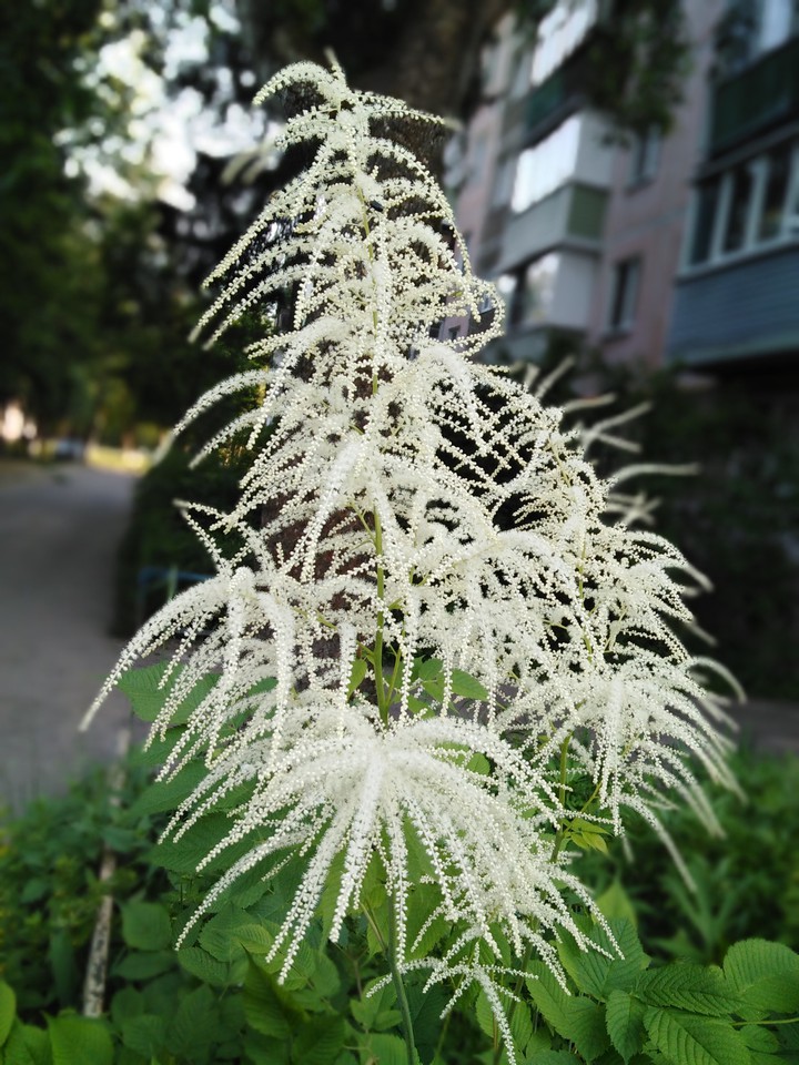 Summer