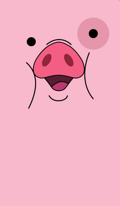 pig
