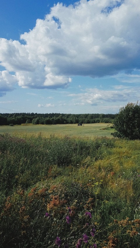 Lost in Latvian countryside.