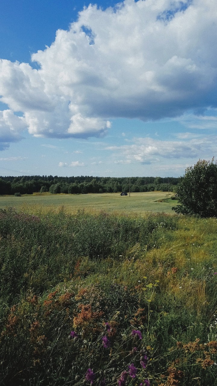 Lost in Latvian countryside.