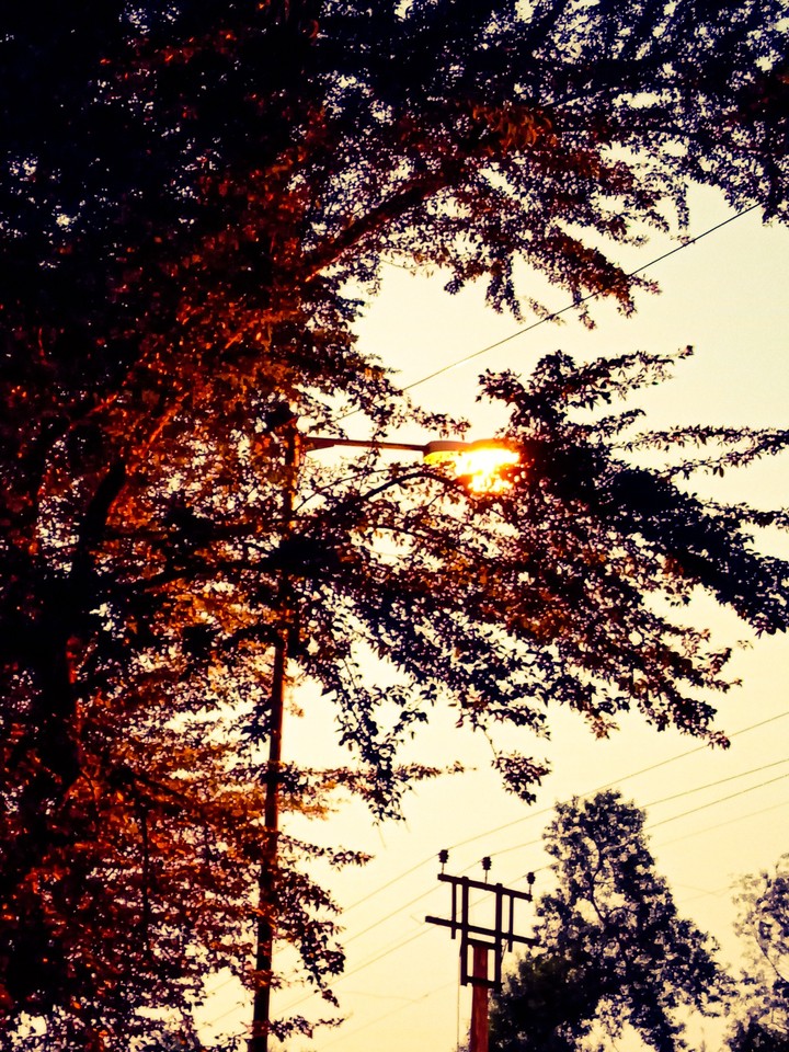 Beauty of Nature