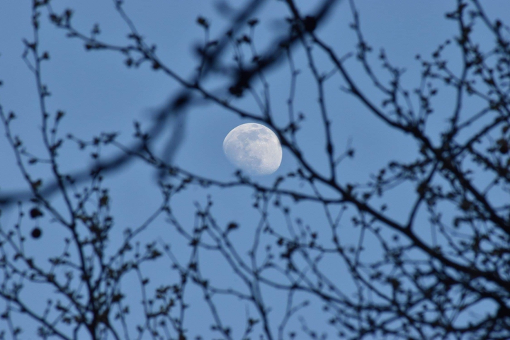 moon