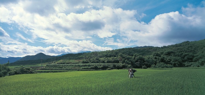풍경