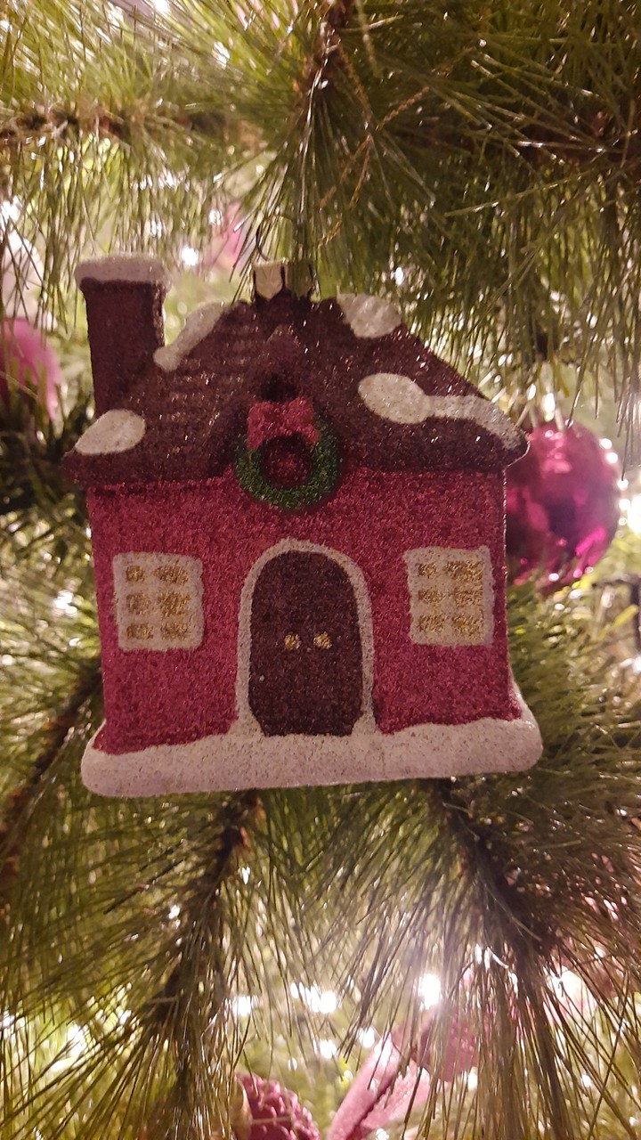 chrismas house