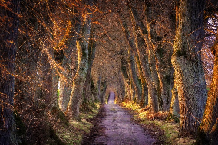 Beautiful path...