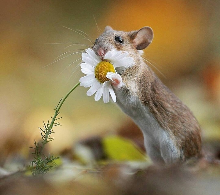 ☺️☺️☺️