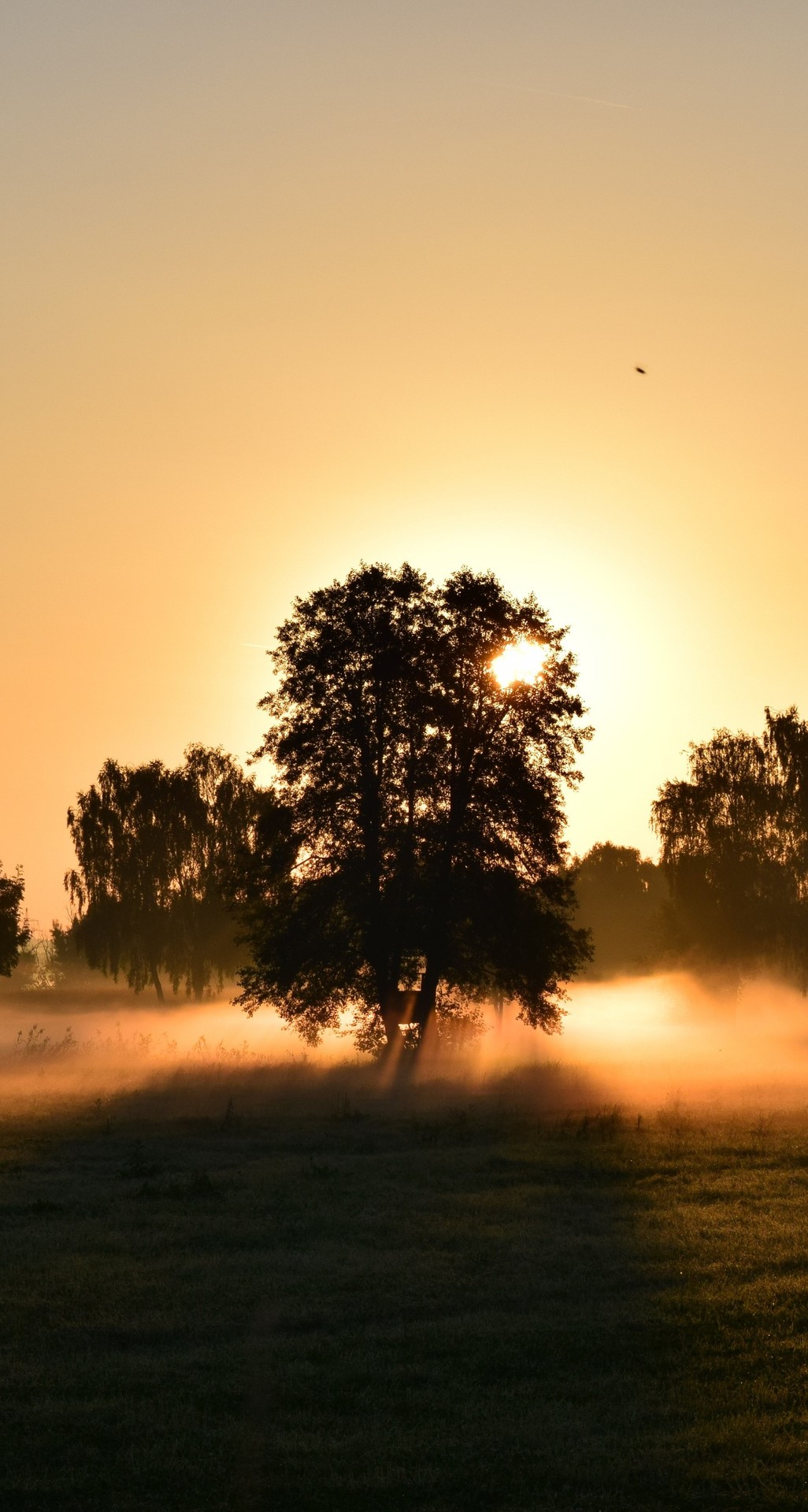❤️❤️Evening Sunset... ❤️❤️