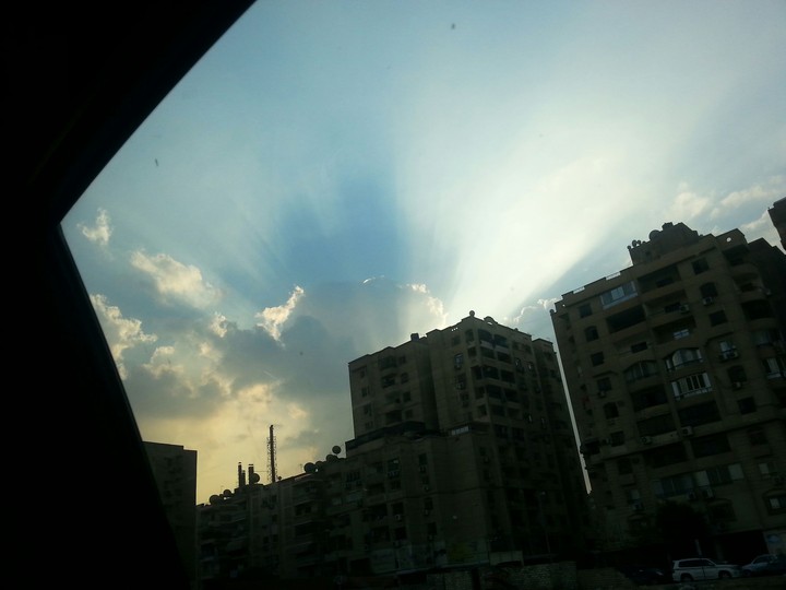 Rays