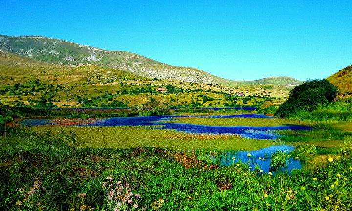 nature