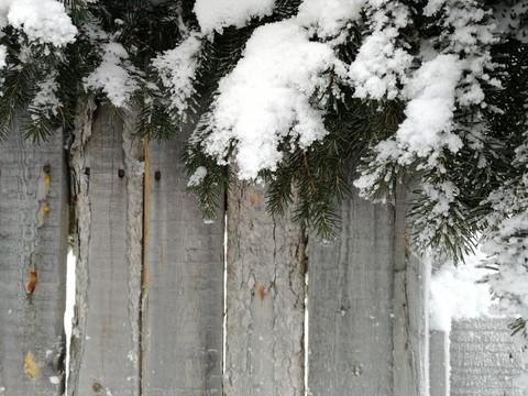 snow