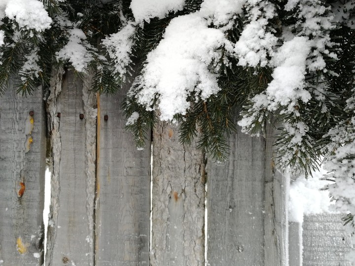 snow