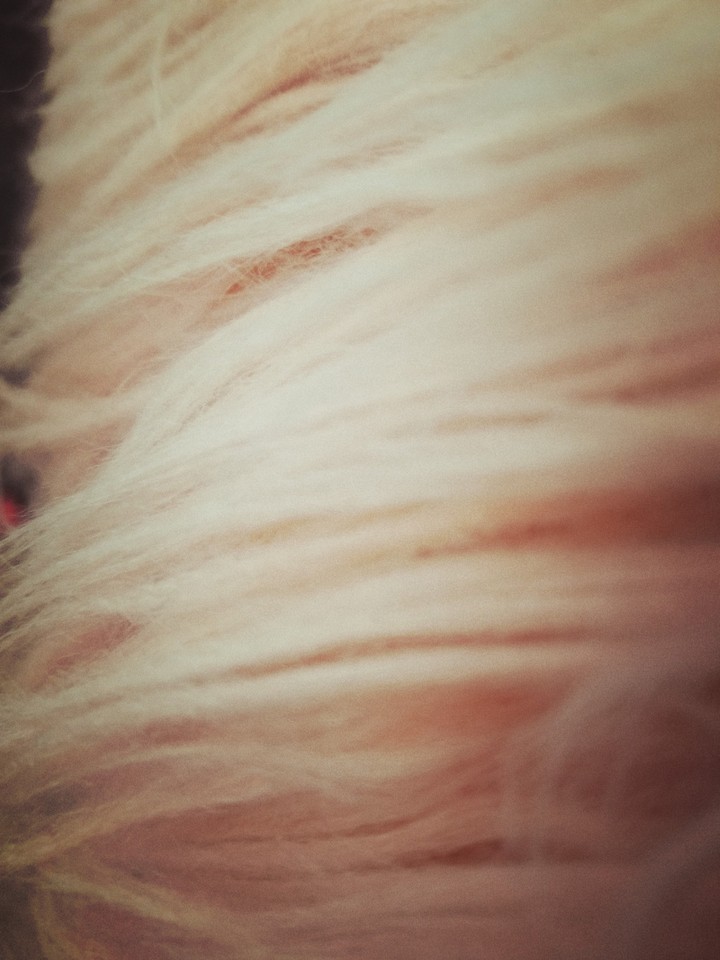 sandy pink