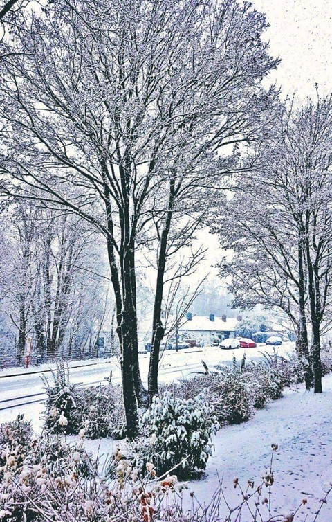 Schnee